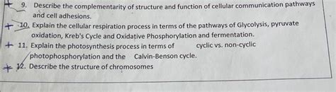 Image result for Complementarity of Structure and Function