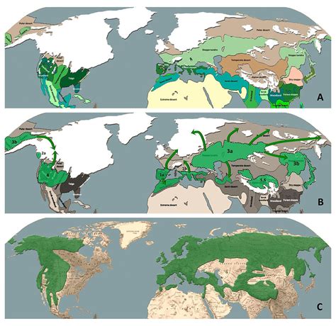 Evolutionary Landscape 的图像结果