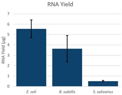 Isolation of RNA From Bacteria 的图像结果