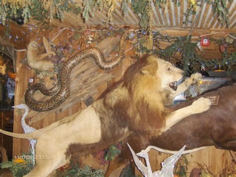 Clarks Fish Camp, jacksonville, United States Of America - Top ...