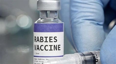 Girl contracts rabies despite vaccination, critical in hospital