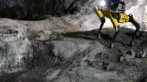 Forget Rovers, NASA Plans To Send Robot Dogs To Explore Mars Caves