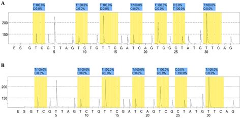 Establishment and Characterization of a New Intrahepatic ...