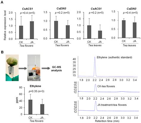 Functional Characterization of An Allene Oxide Synthase Involved in ...