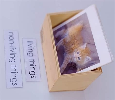 JNANAMUDRA-Botany-Living and Non Living Things :Classification Cards ...