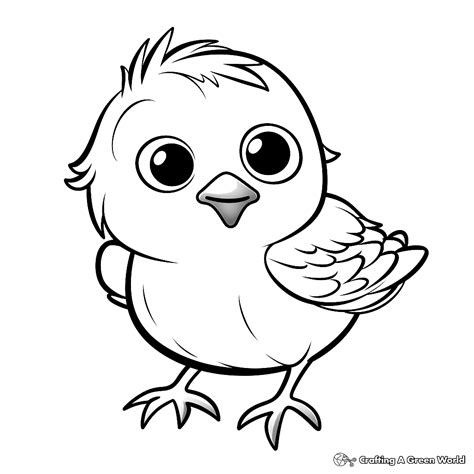 Bird Colouring Pages