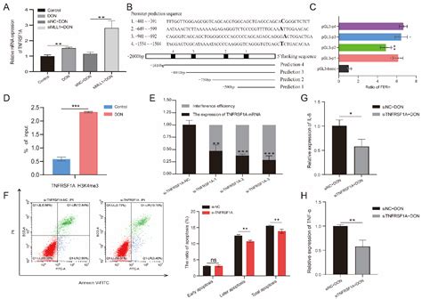 Histone Methyltransferase MLL1 Mediates Oxidative Stress and Apoptosis ...