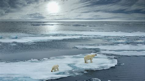 Researchers Say The Last Arctic Ice Refuge Is Disappearing
