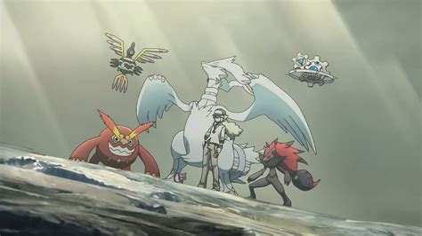 Image result for TCG Character Types