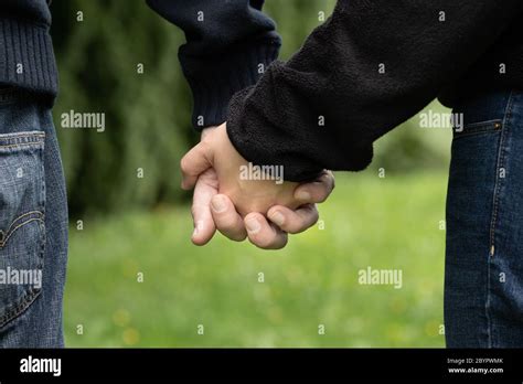 Partner Hands 的图像结果