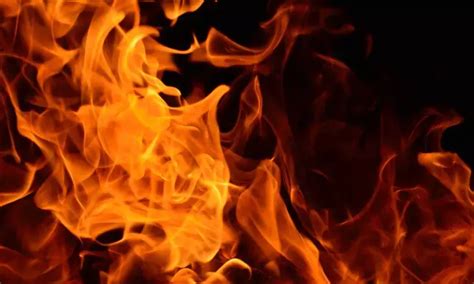 Puducherry: Fire accident at pharma factory, 14 injured