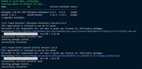 Image result for Winget Multicolor PowerShell Loading Bar