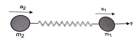 A spring connects two particles of masses `m_(1)` and `m_(2)` A ...