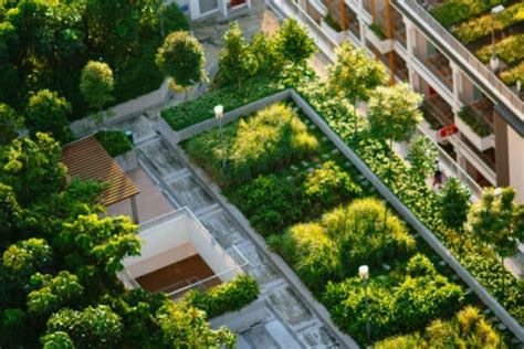 Image result for Sustainable Development Examples