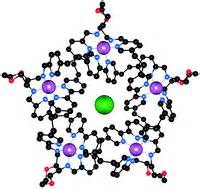Image result for Anion Testing CSEC
