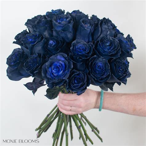 Navy Blue Flowers