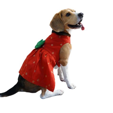 Red Silk Frock – Floof and Co