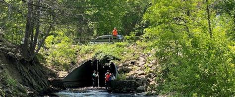 Commissioner's Column: Stream crossing assessments ramp up | NH ...