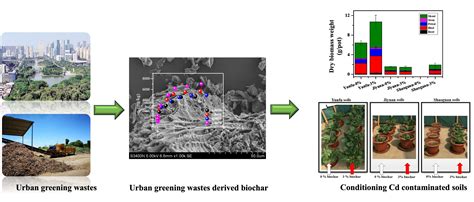 Biochar Derived from Urban Green Waste Can Enhance the Removal of Cd ...