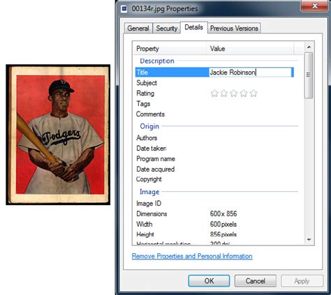 Image result for Window Meta File