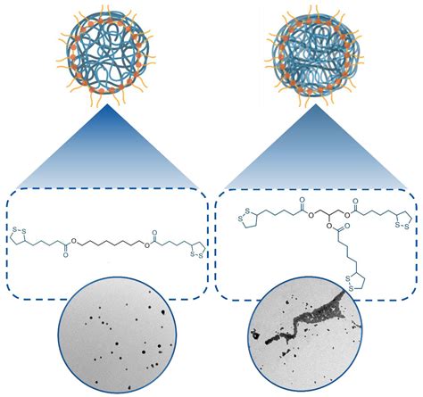 Nanoparticles Based on Cross-Linked Poly(Lipoic Acid) Protect ...