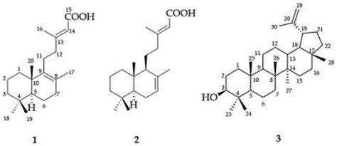 Isolation and HPLC Quantitative Determination of 5α-Reductase ...