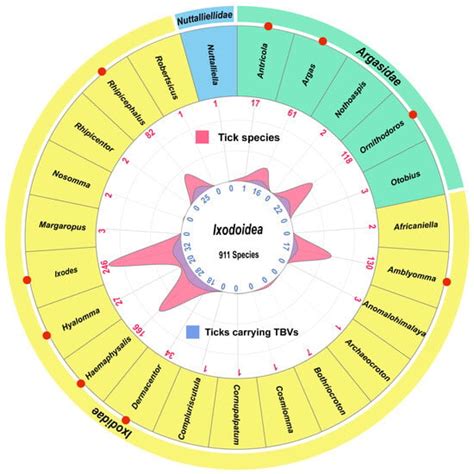 The Known and Unknown of Global Tick-Borne Viruses