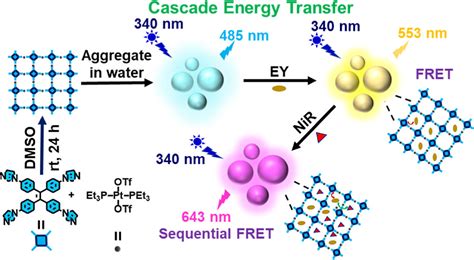 P S Mukherjee Publications