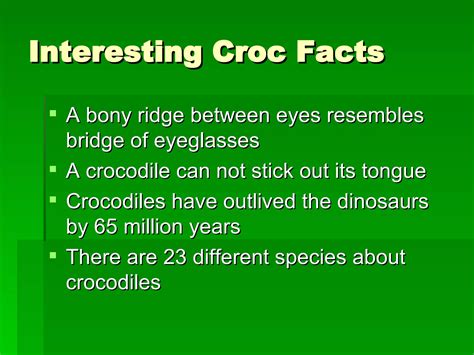 Crocodiles | PPT
