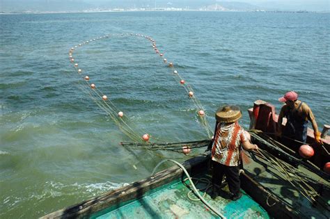 【渔光曲--跟随渔民出海打渔记实摄影图片】海上纪实摄影_太平洋电脑网摄影部落