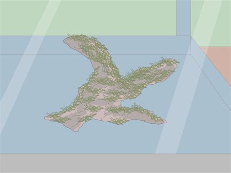 How Tall Do Java Moss Grow 的图像结果