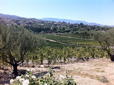 Good Wine But Still Being Built - Reviews, Photos - Cougar Vineyard ...