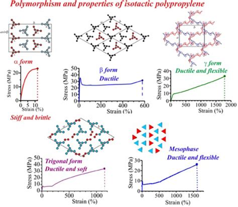Image result for Polymorph Polymer Structure