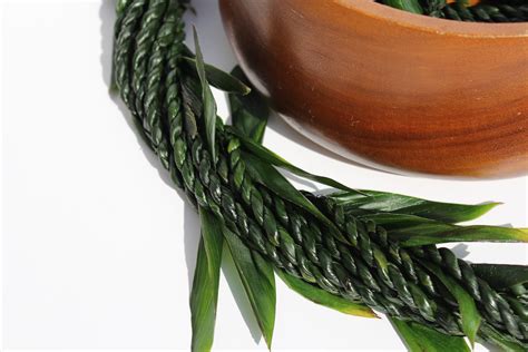 10-Strand Ti Leaf Twine