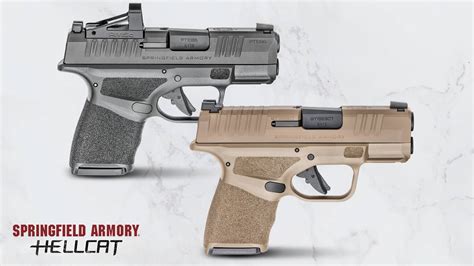 Image result for Hellcat Springfield 9Mm Customized