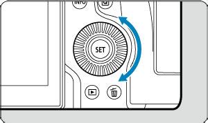 Image result for Canon R6 Back Button Tips