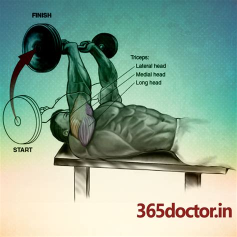 Best Triceps Workout