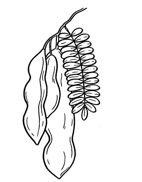 Fruits Coloring Pages Printable 的图像结果