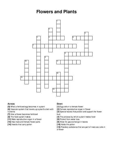 Flower Part Definitions Crossword Puzzle Answer Key | Best Flower Site