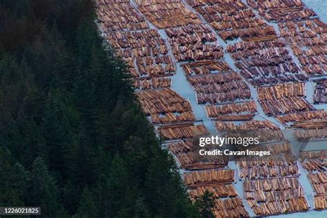 Floating Log 的图像结果