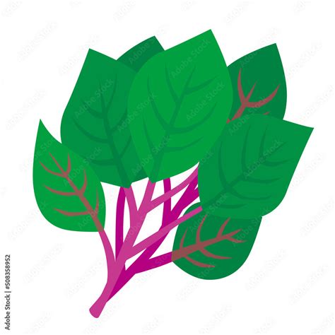 Image result for Advanced Lesson Plan Examples