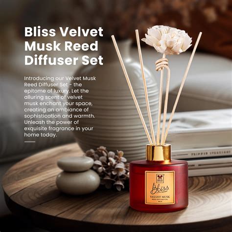 Iris Bliss Velvet Musk Reed Diffuser Set – IRIS Home Fragrances