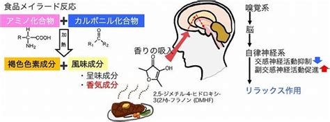 Image result for Example of New Program