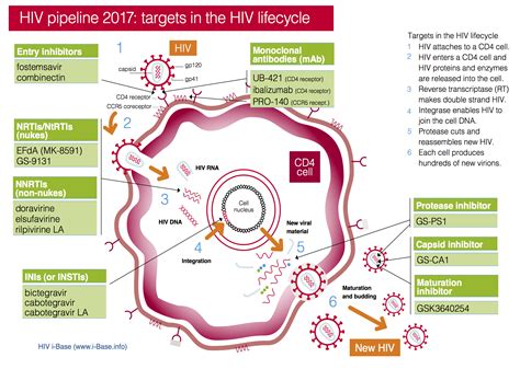 Antiretroviral Drugs Mechanism Of Action