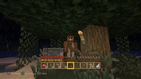 Image result for PS4 Minecraft Version