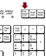 :: Licensing model : various buy option Subscription,online, Buy