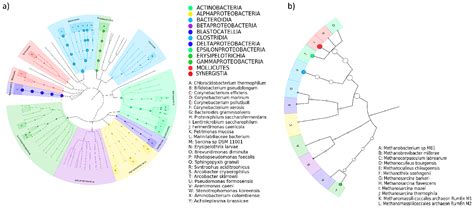 Metagenomic Analysis of the Long-Term Synergistic Effects of ...