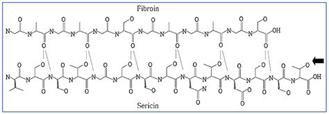 Silk Chemical Structure