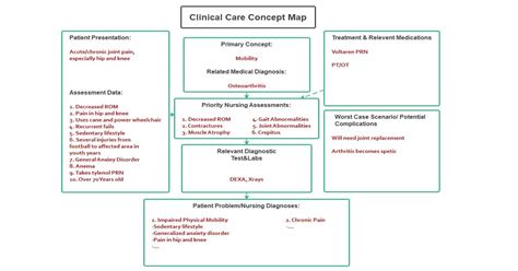 Free Nursing Concept Maps 的图像结果