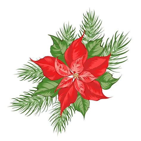 Poinsettia png Images - Free Download on Freepik